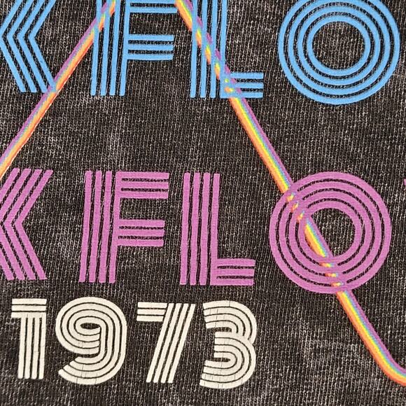 1973 Pink-Floyd Crop-Top Shirt Womens Large 21x21 Charcoal Wash - Picture 7 of 11